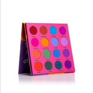 Coloured Raine Vivid Pigments Palette